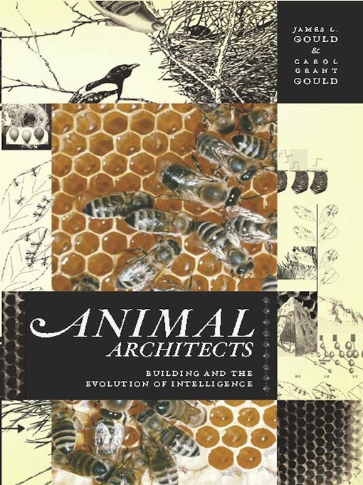 Title details for Animal Architects by James L Gould - Available